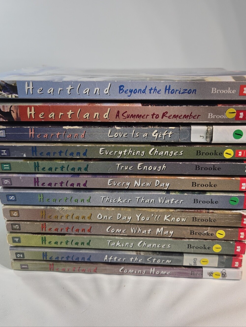 Heartland Book Collection in Multicolor